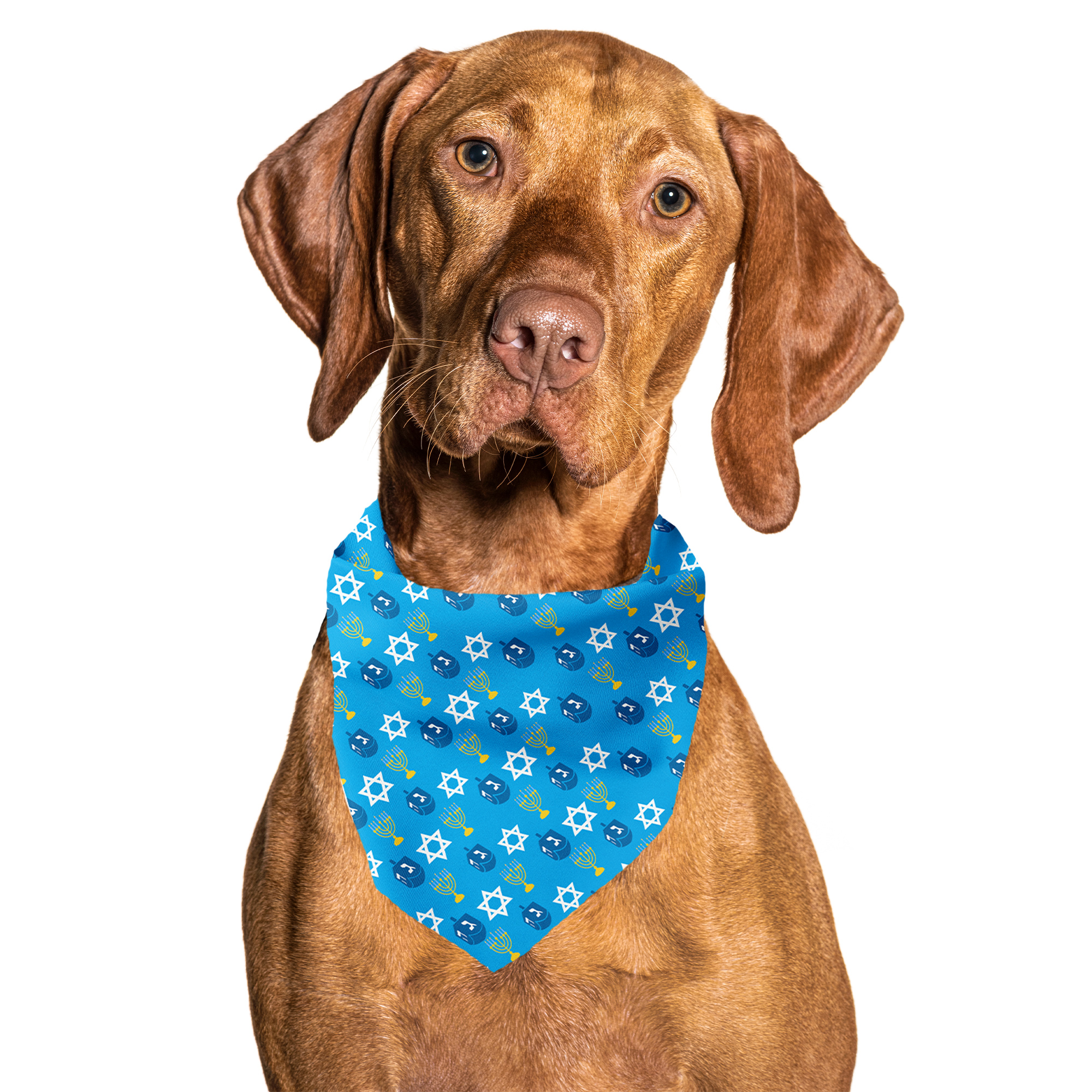 Hanukkah hot sale dog bandana