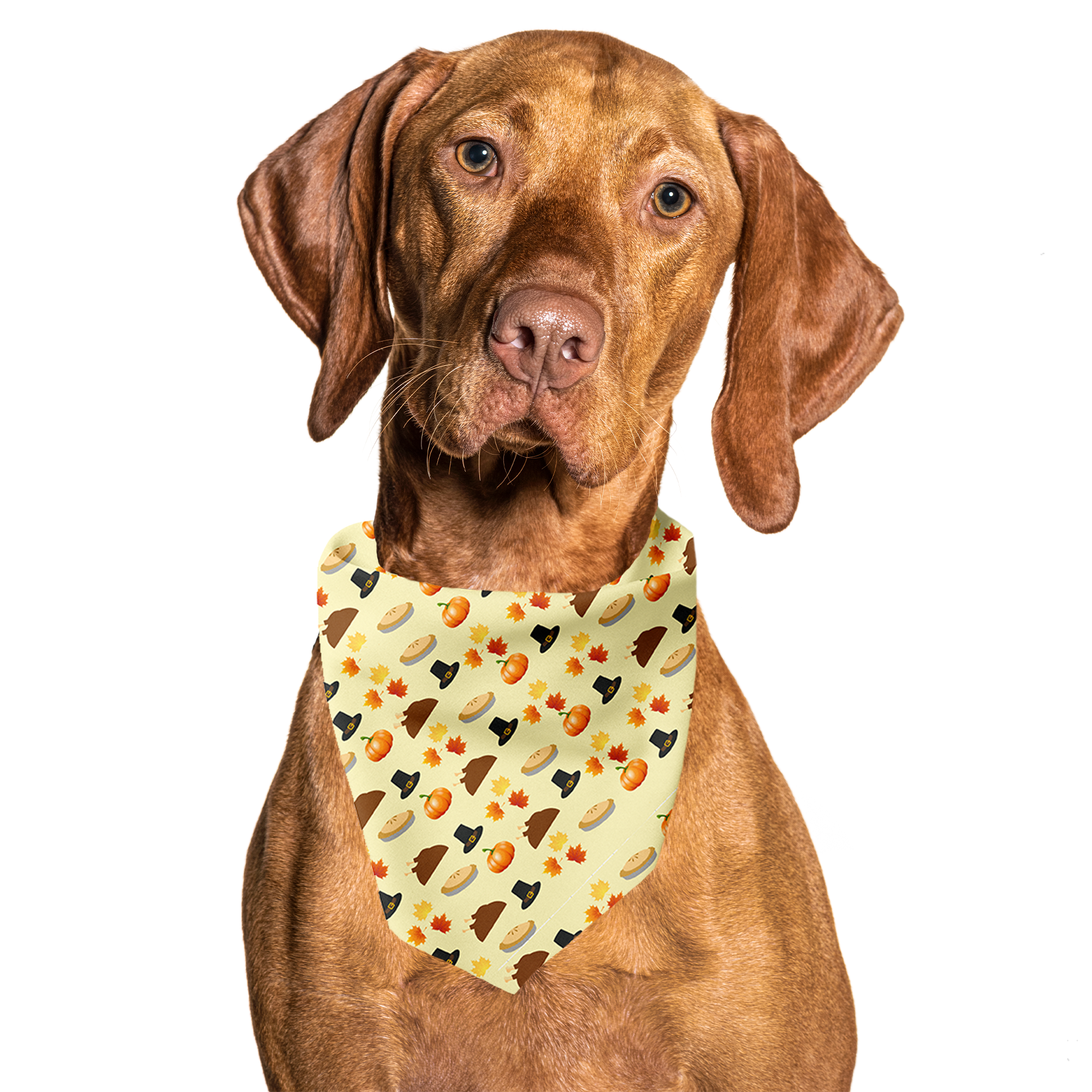 Thanksgiving Dog Tie On Dog Bandana